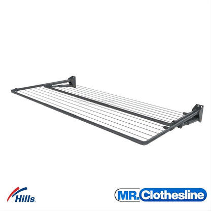 Hills Double Fold Down Clothesline in Monument colour at angle showing double-tier drying line configuration.